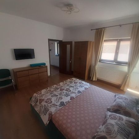 コンスタンツァ Steli'S Houseヴィラ 部屋 写真